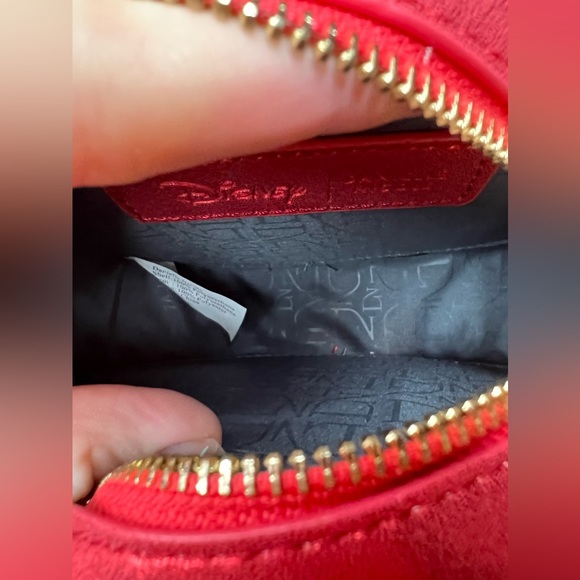 EUC Disney rose crossbody. Beautiful as a rose collab with Danielle Nicole - Picture 7 of 7